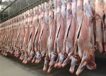 食肉処理場の加湿